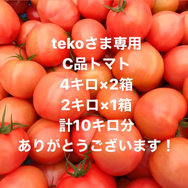 野菜tekoさま専用　C品トマト☆計10キロ分