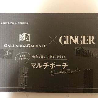 ガリャルダガランテ(GALLARDA GALANTE)のGINGER 1月号付録 GALLARDAGALANTE ポーチ(ポーチ)