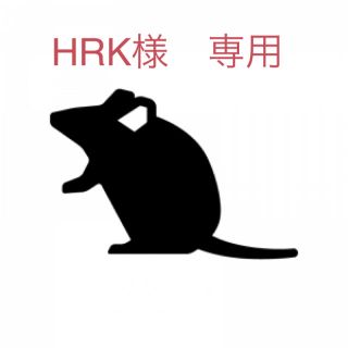 HRK様　専用(爬虫類/両生類用品)