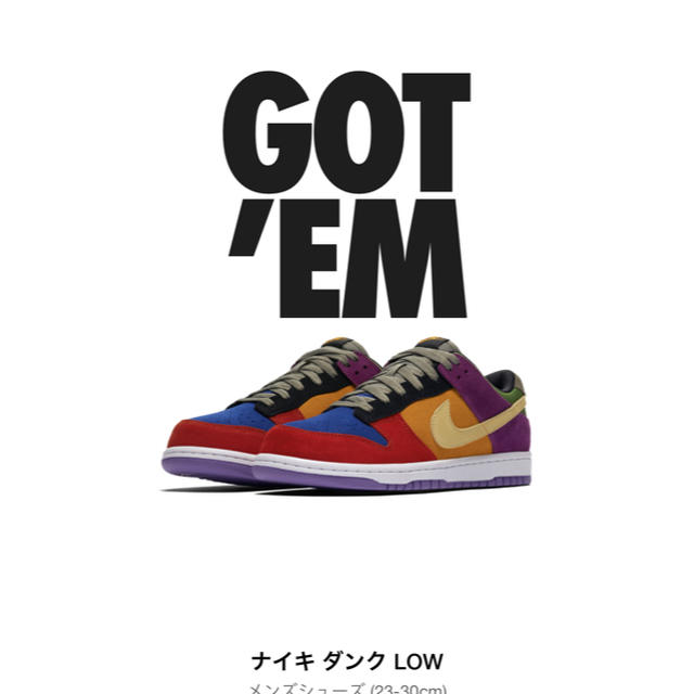 NIKE(ナイキ)のNike Dunk SB Low Viotech  メンズの靴/シューズ(スニーカー)の商品写真