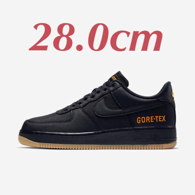 28.0cm BLACK AIR FORCE 1 LOW GORE TEX