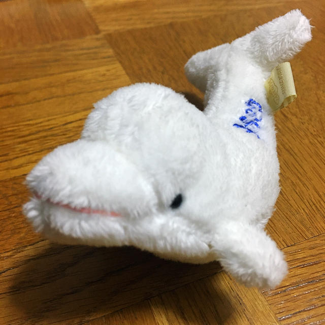 水族館 シロイルカ キーホルダー エンタメ/ホビーのおもちゃ/ぬいぐるみ(ぬいぐるみ)の商品写真