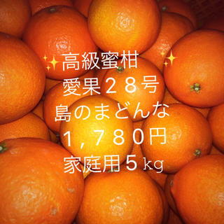 ✨高級蜜柑✨愛果28号 島のまどんな家庭用 (フルーツ)