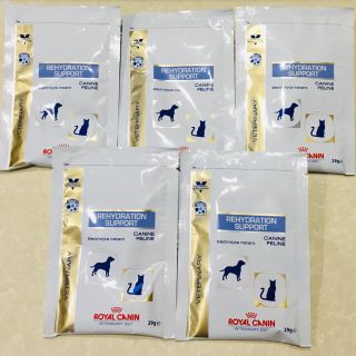 ロイヤルカナン(ROYAL CANIN)のりこ1439様 専用です。(その他)