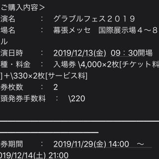 グラフェス2019チケット(その他)