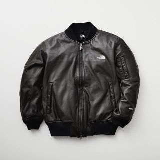 THE NORTH FACE - 新品 XXL TheNorthFace GTX Q3 jacketの通販 by