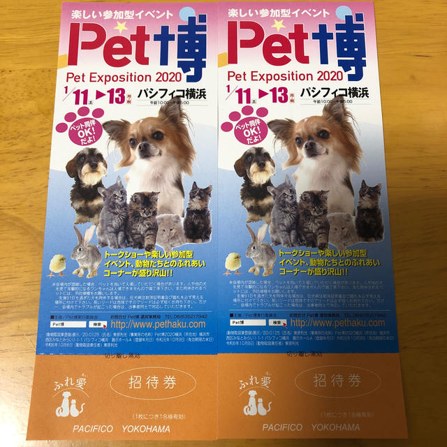 Pett博　パシフィコ横浜　ペア招待券 チケットのイベント(その他)の商品写真