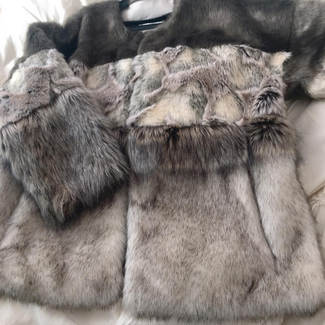 ZARA(ザラ)のzara ファーコート レディースのジャケット/アウター(毛皮/ファーコート)の商品写真
