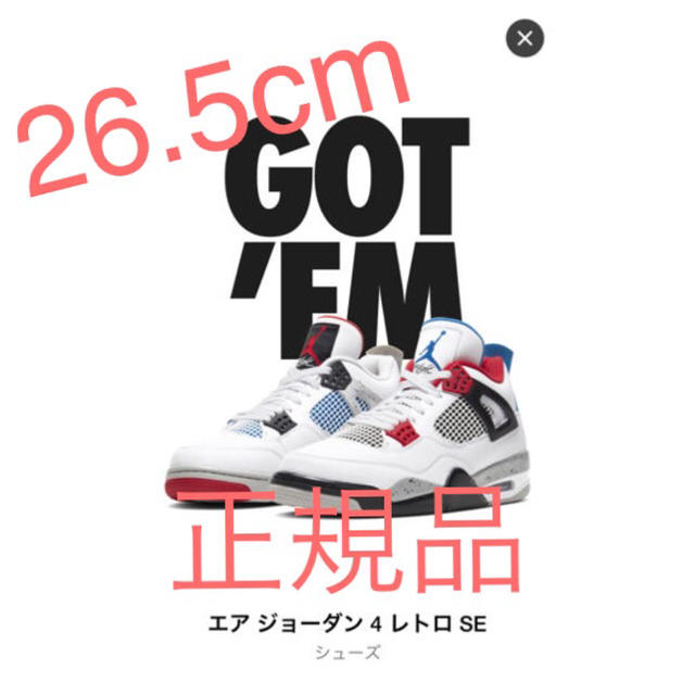 【26.5cm】NIKE AIR JORDAN 4 WHAT THE