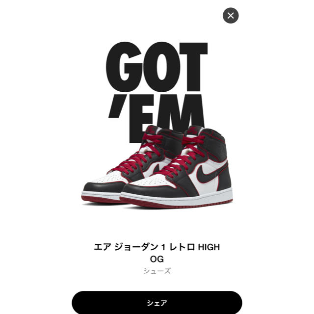 NIKE(ナイキ)のNIKE AIR JORDAN 1 RETRO OG BLOOD LINE メンズの靴/シューズ(スニーカー)の商品写真