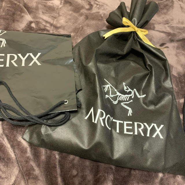 ARC'TERYX(アークテリクス)のアークテリクス アルファFLジャケット メンズのジャケット/アウター(マウンテンパーカー)の商品写真