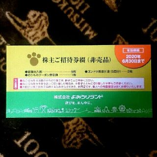 ゆうパケット◆よみうりランド株主優待券綴◆最新・新品(遊園地/テーマパーク)