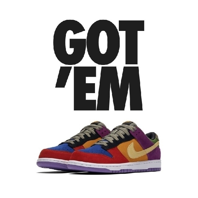 NIKE DUNK LOW VIOTEC クレイジーダンク　26.5cmメンズ