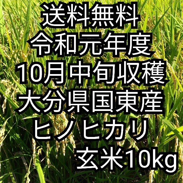 [送料無料] 令和元年大分県国東産 ヒノヒカリ白米10kg
