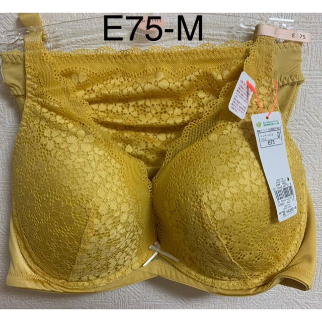 Triumph(トリンプ)の1319 トリンプ AMO`SSTYLEブラジャーE75＆ショーツMセット レディースの下着/アンダーウェア(ブラ&ショーツセット)の商品写真