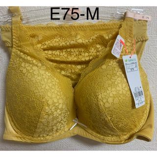 トリンプ(Triumph)の1319 トリンプ AMO`SSTYLEブラジャーE75＆ショーツMセット(ブラ&ショーツセット)