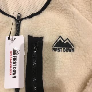 ザノースフェイス(THE NORTH FACE)の最終価格　最終値下げ(ダウンジャケット)