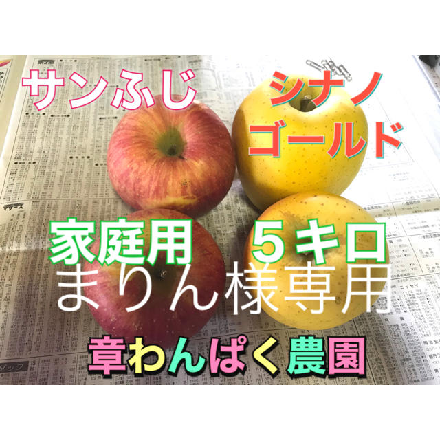 まりん様専用　サンふじ　シナノゴールド  ５キロセット　章わんぱく農園 食品/飲料/酒の食品(フルーツ)の商品写真