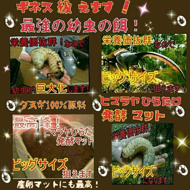 幼虫が巨大化します！ヒマラヤひらたけ発酵カブトムシマット☆栄養価抜群！産卵にも！ その他のペット用品(虫類)の商品写真