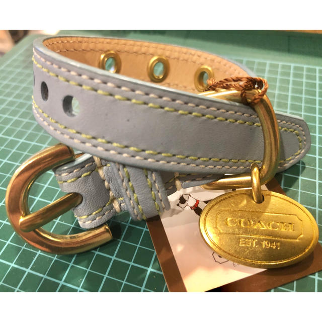 デッドストック COACH 本革×真鍮 グロメットドッグカラー 犬用首輪/XXS