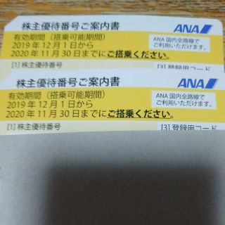 エーエヌエー(ゼンニッポンクウユ)(ANA(全日本空輸))のANA株主優待券(その他)