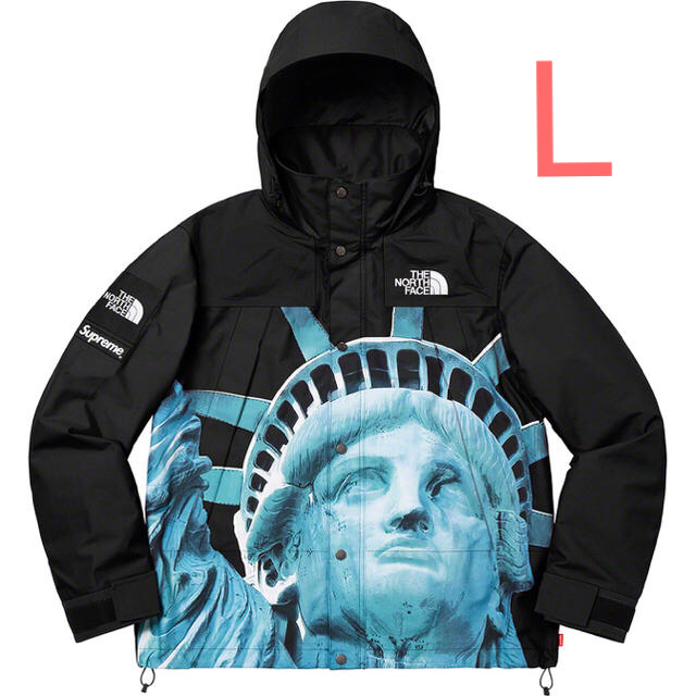 Supreme North Face Mountain Jacket