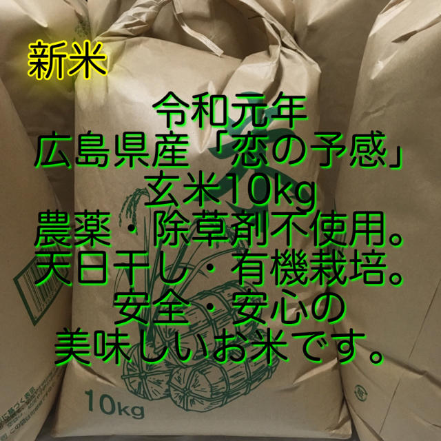 玄米　無農薬　天日干し　10kg