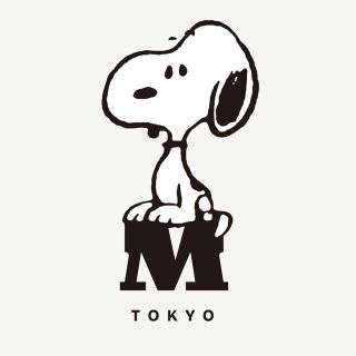 スヌーピー(SNOOPY)のスヌーピー ミュージアム　オープン日　12/14チケット　2枚(美術館/博物館)