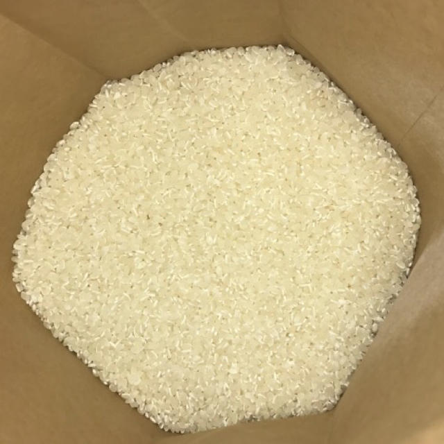農家直送 おいしいお米 三重県産コシヒカリ 10kg