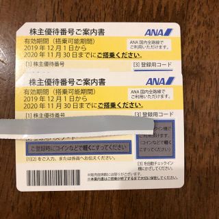 エーエヌエー(ゼンニッポンクウユ)(ANA(全日本空輸))のANA 株主優待券(その他)