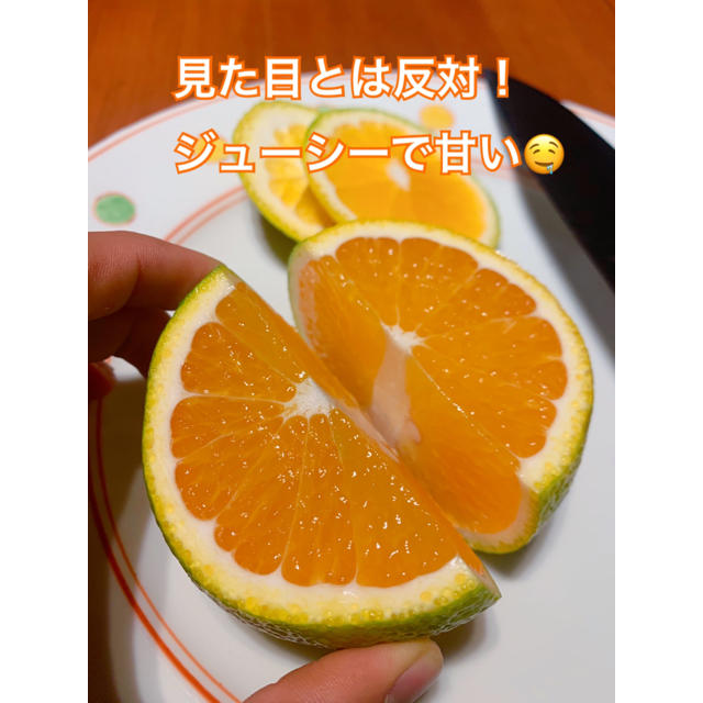 熊本県 濃厚ミカン☆エレンスイートスプリング☆ 3kg 農家直送 食品/飲料/酒の食品(フルーツ)の商品写真