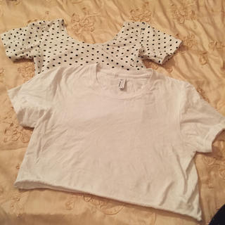 アメリカンアパレル(American Apparel)のアメリカンアパレル クロップドTセット(Tシャツ(半袖/袖なし))