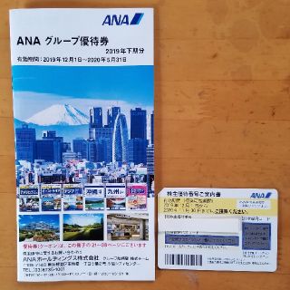 エーエヌエー(ゼンニッポンクウユ)(ANA(全日本空輸))の全日空　ANA　株主優待　チケット(その他)