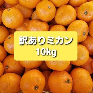 訳ありミカン 10kg(フルーツ)