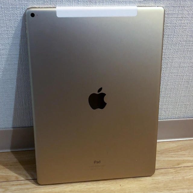 iPad Pro 12.9in / Wi-Fi + Cellular 128GB¥78800可能な付属品