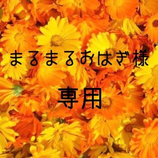 まるまるおはぎ様専用  お米　令和元年　愛媛県産ミルキークイーン　白米30㎏(米/穀物)
