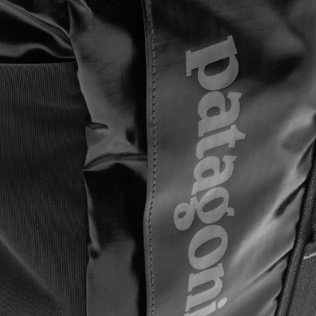 patagonia(パタゴニア)のPATAGONIA BLACK HOLE PACK メンズのバッグ(バッグパック/リュック)の商品写真