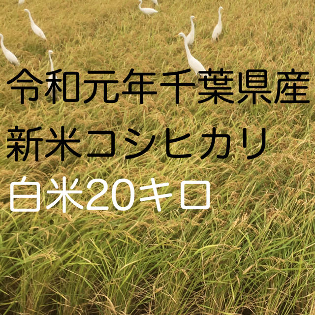 コシヒカリ白米20キロ食品