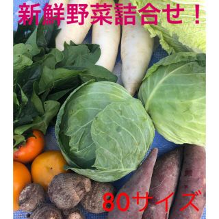 ✾お野菜お任せ詰合せセット✾(野菜)