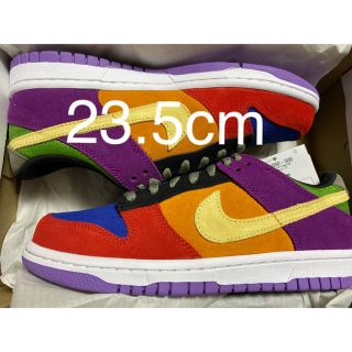 ナイキ(NIKE)のNIKE DUNK LOW VIOTECH(スニーカー)