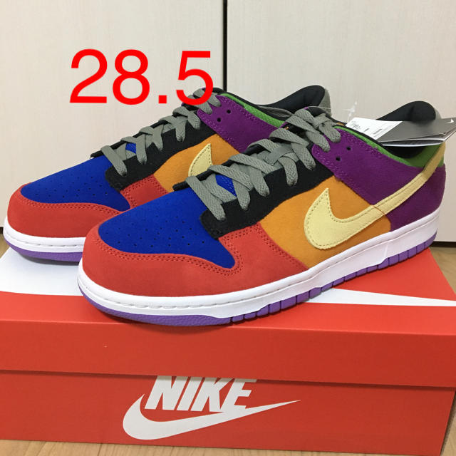 NIKE DUNK LOW VIOTECH 28.5cm靴/シューズ