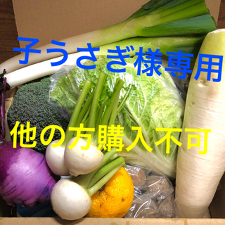鹿児島で育った新鮮野菜詰め合わせ　80サイズ(野菜)