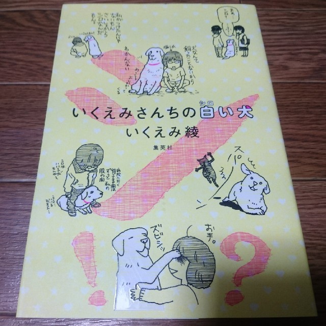 いくえみさんちの白い犬 いくえみ綾の通販 By 向日葵 S Shop ラクマ いくえみさんちの白い犬 いくえみ綾の通販 By 向日葵 S Shop ラクマ