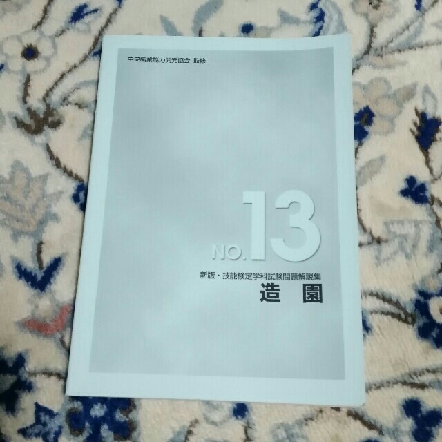 技能検定学科試験問題解説集 ｎｏ．１３ 新版 エンタメ/ホビーの本(資格/検定)の商品写真