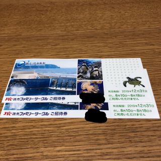 新江ノ島水族館 招待券 2枚(水族館)