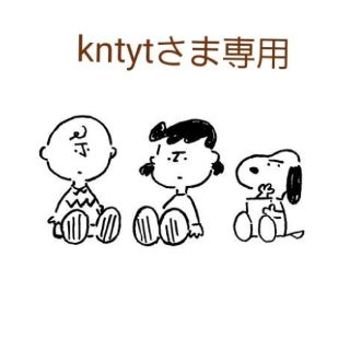 kntytさま専用(その他)