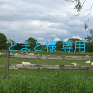 シマムラ(しまむら)のカモフラスカート(ひざ丈スカート)