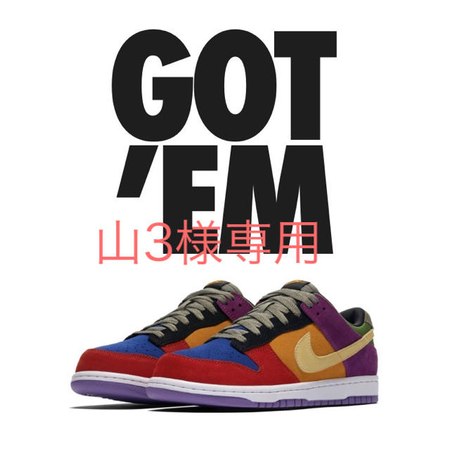 NIKE(ナイキ)のNIKE DUNK VIOTECH ダンク メンズの靴/シューズ(スニーカー)の商品写真