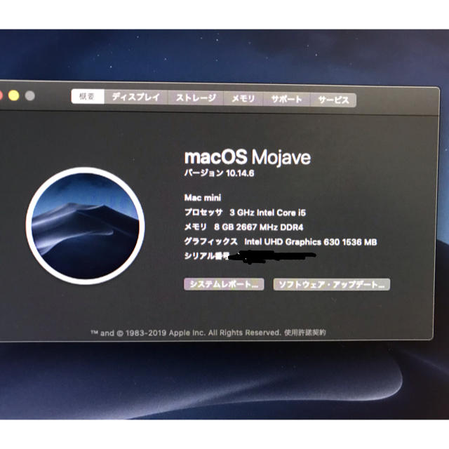 Mac mini 2018 i5 ssd 256BGメモリ 8GB 変換ケーブル