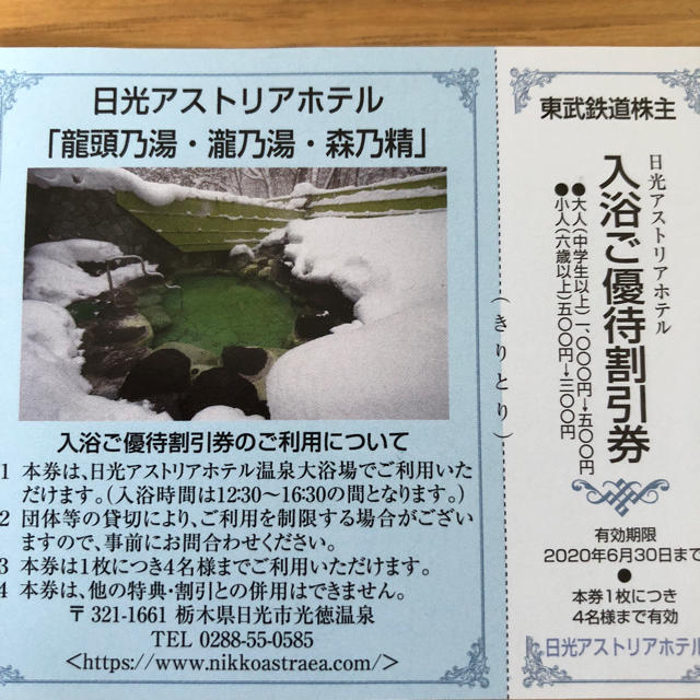 東武ワールドスクウェアご優待割引券・日光アストリアホテル入浴ご優待割引券 チケットの施設利用券(遊園地/テーマパーク)の商品写真